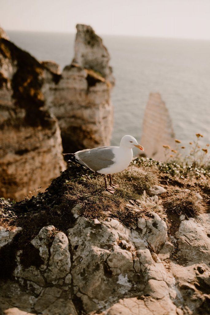 mariage Etretat