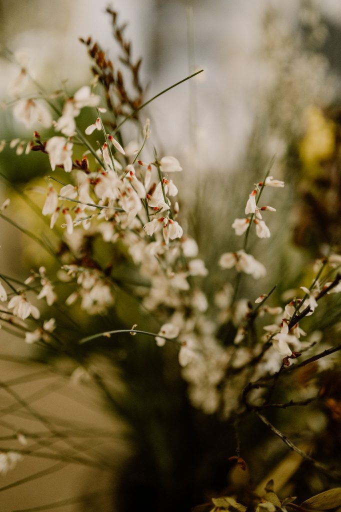 photographe mariage Nantes