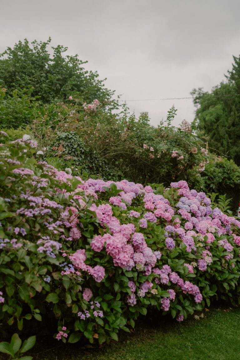 Mariage_chateau_du_ronchay_Normandie_AnneLetournel-29