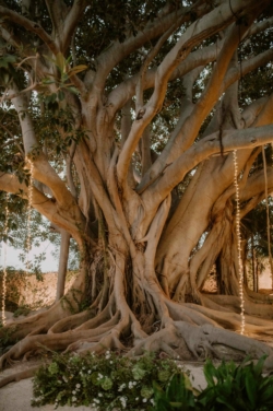 wedding castello del solacium sicily