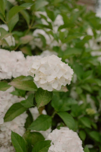 mariage normandie - Château du Ronchay photographe mariage normandie le Ronchay