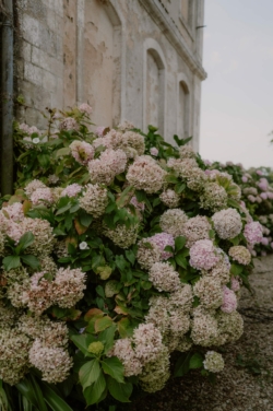 mariage abbaye de blanchelande