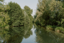 photographe mariage normandie