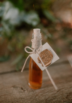 mariage notre dame de abbaye fontaine Guérard